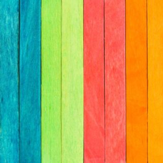 Colorful Wood Plank Texture Wallpaper Mural