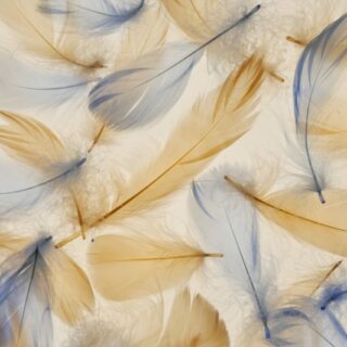 Blue and Beige Feathers Texture Wallpaper Mural