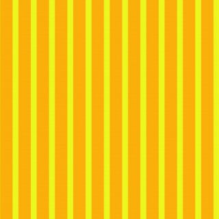 Bright Horizon Stripes Wallpaper Mural