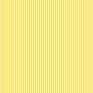 Yellow Citrus Stripe Classic Wallpaper Mural