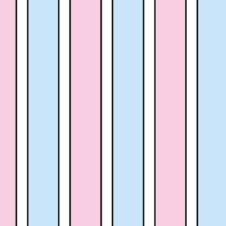 Pastel Pink, Blue, Black and White Stripes Mural Wallpaper