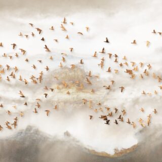 Birds Abstract Scenery Art Wallpaper Mural
