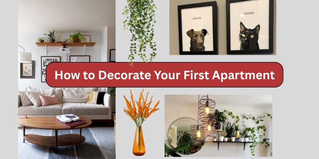 Ideas to Decorate Your First Apartment A RoombyRoom Guide to