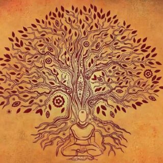 Bodhi Tree Art Roller Blinds