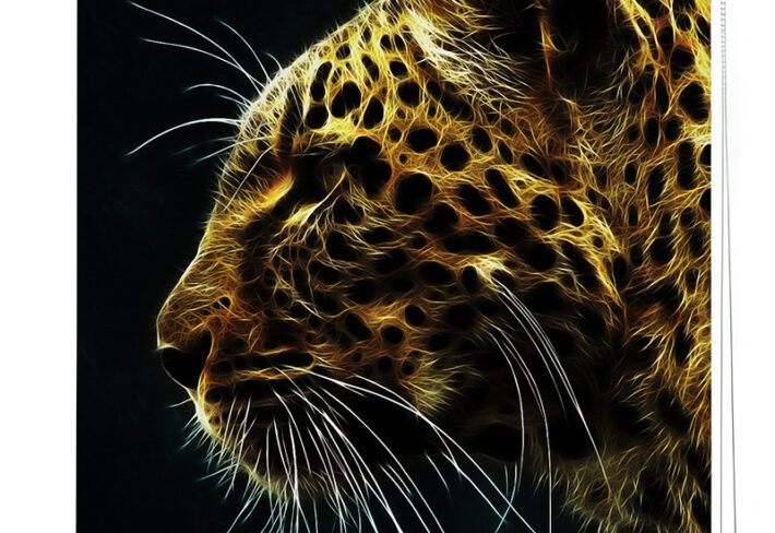Radiant Leopard Roller Blinds