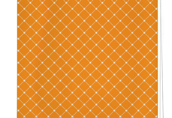 Tangerine Trellis Roller Blind