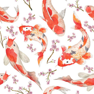 Koi Blossom Harmony Roller Blind