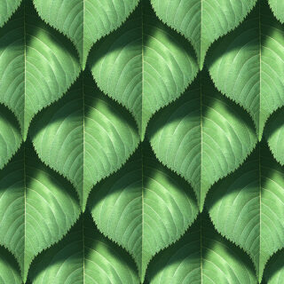 Lush Leaf Mosaic Roller Blind