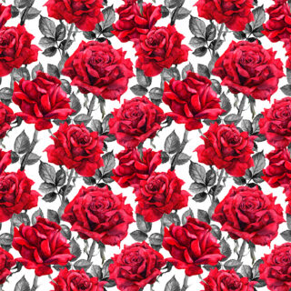 Crimson Rose Elegance Roller Blind