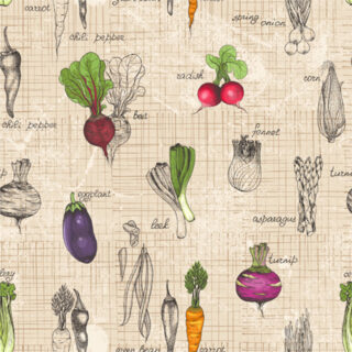 Illustrated Botanical Kitchen Roller Blinds