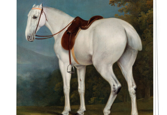 White Horse Majesty Roller Blind
