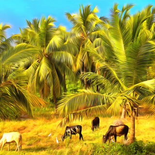 Indian Village Charm Roller Blind