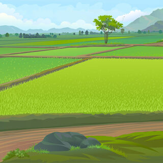 Indian Agriculture Field Roller Blind