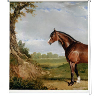 Vintage Horse Print Roller Blind
