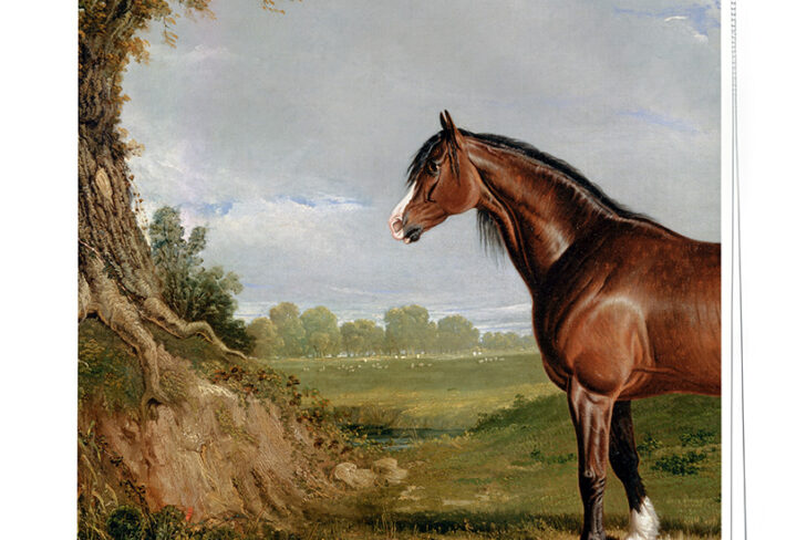 Vintage Horse Print Roller Blind