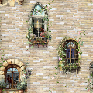 European Window Design Roller Blind