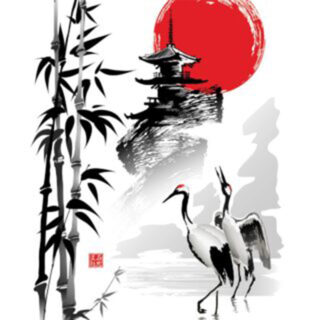 Serene Japanese Zen Roller Blinds