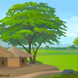 Rural Roots Roller Blinds