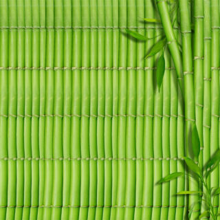 Bamboo Bliss Roller Blinds