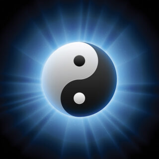 Yin Yang Balance Roller Blinds