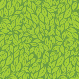 Fresh Foliage Roller Shades