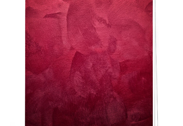 Velvet Rouge Roller Blinds