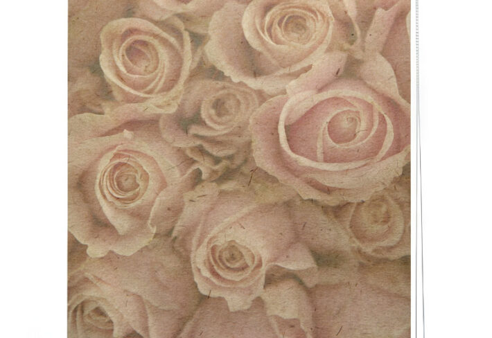 Vintage Rose Blush Roller Blinds