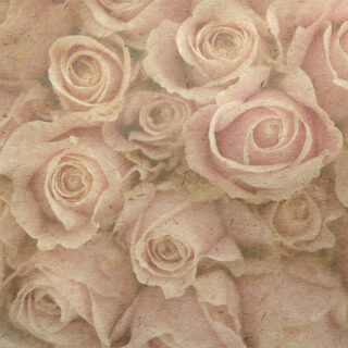 Vintage Rose Blush Roller Blinds