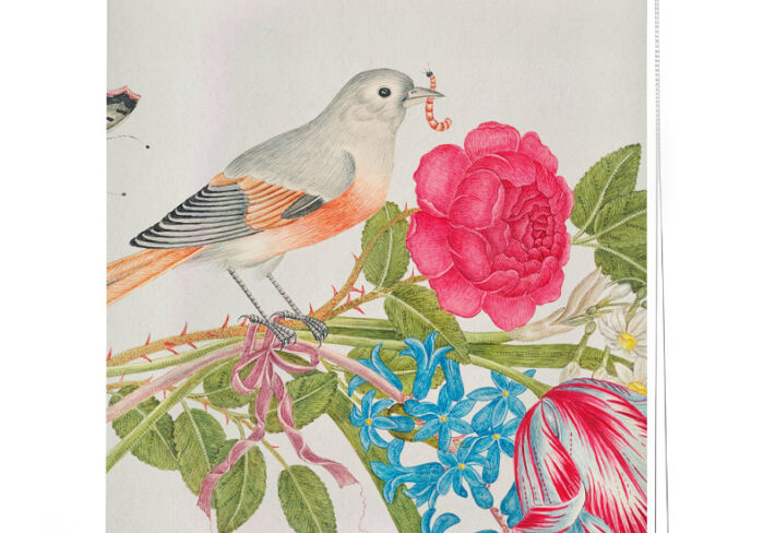 Spring Garden Bird Motif Roller Blind