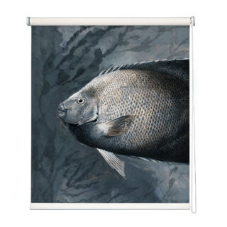 Grayscale Fish Portrait Window Roller Blind