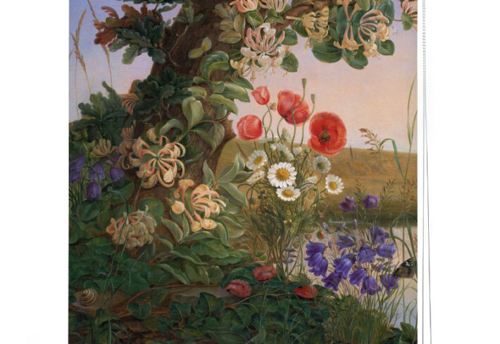 Cottage Garden Painted Window Roller Blind