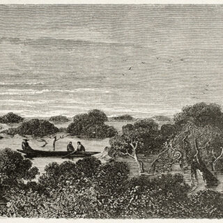 Vintage River Expedition Roller Blind