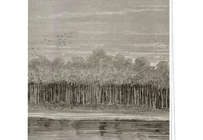 Vintage Riverside Engraving Roller Blind