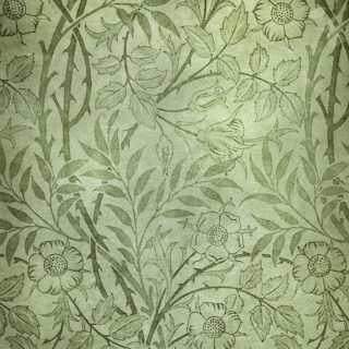 Vintage Botanical Garden Roller Blind