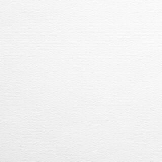 Subtle Texture White Privacy Roller Blind