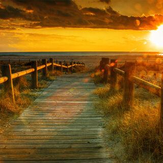 Rustic Boardwalk Sunset Roller Blind