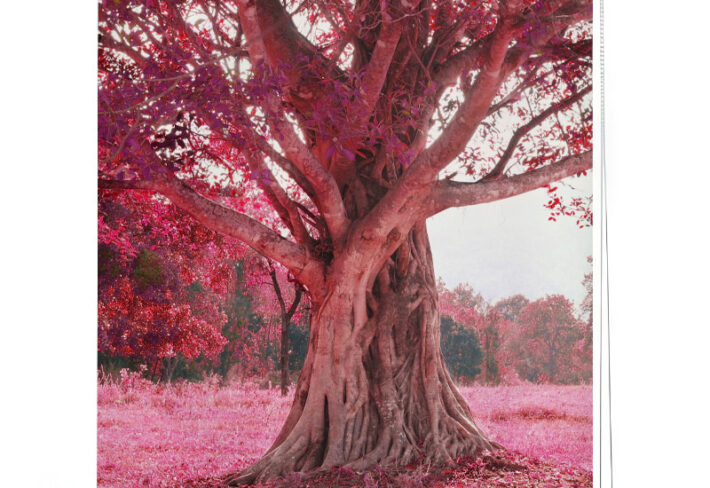 Fantasy Forest Pink Foliage Window Roller Blind