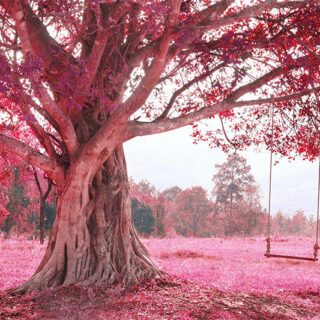 Fantasy Forest Pink Foliage Window Roller Blind