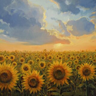 Suryam, Serene Sunflower Field Wallpaper Mural