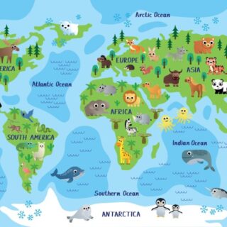Totopedia, Educational Animal World Wallpaper Mural