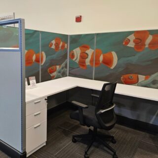 Finding Nemo, Playful Clownfish Ocean Wallpaper Mural