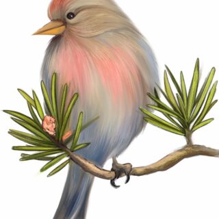 Chirpy, Pastel Bird on Pine Branch Mural