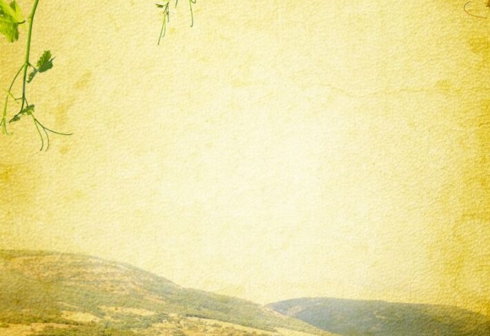 Cieloro, Mediterranean Hillside & Vines Mural
