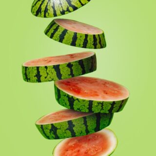 Splat, Bold Floating Melon Wallpaper Mural