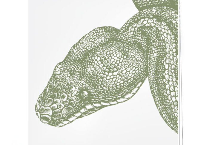 Sage Green Snake Head Illustration Roller Blind