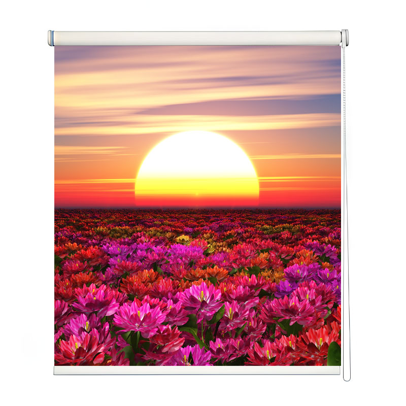 Vibrant Floral Meadow Window Roller Blind