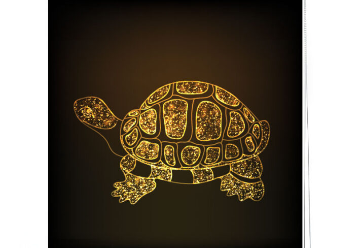 Golden Glitter Turtle Roller Blind