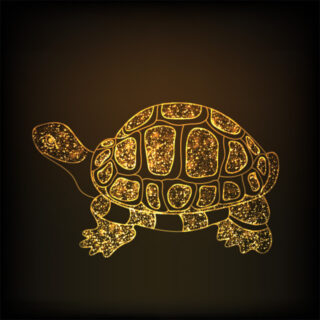 Golden Glitter Turtle Roller Blind