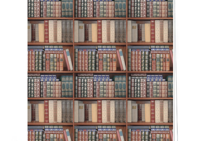 Classic Bookshelf Window Roller Blind
