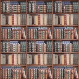 Classic Bookshelf Window Roller Blind